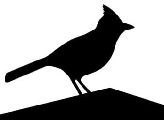 Rooftop Terrace BV logo